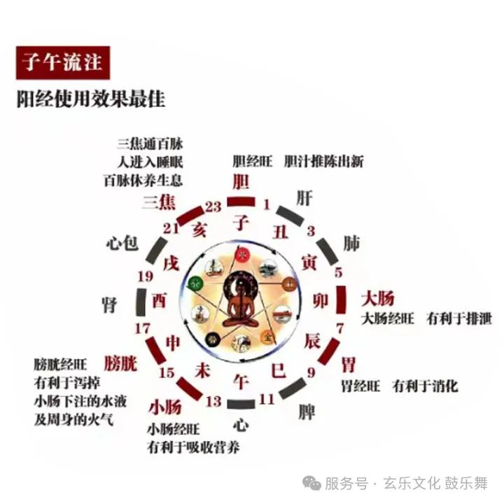 敬祖连根·元人类——元人类导航